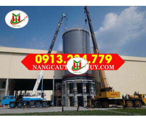 THUÊ XE CẨU KATO 60 TẤN TẠI LONG AN